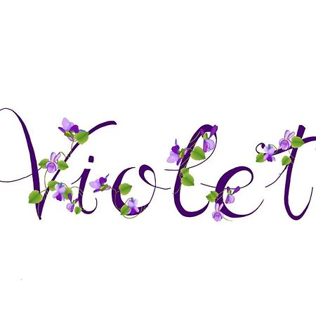 Appartamento Violet - ปาร์มา ภายนอก รูปภาพ